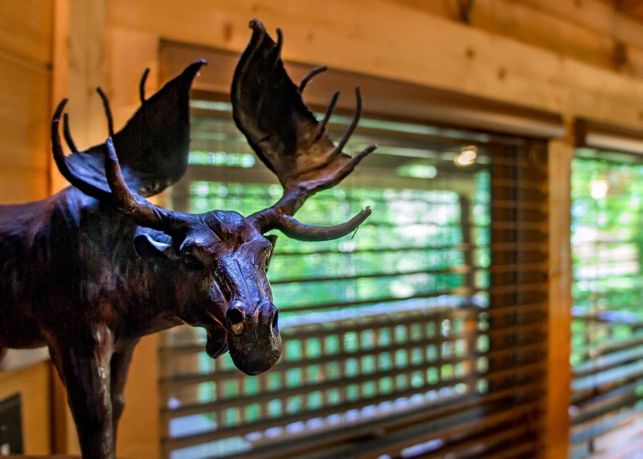Bearfoot Inn #35 Sevierville Ngoại thất bức ảnh